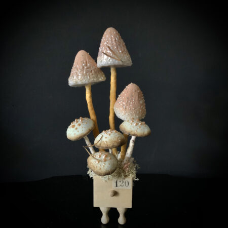 mushrooms