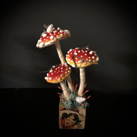 mushrooms