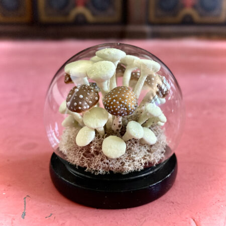 mushrooms