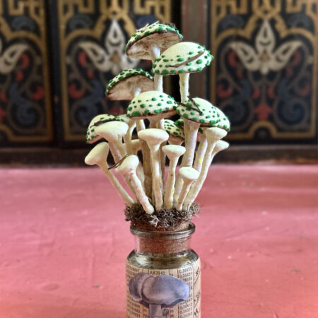 mushrooms