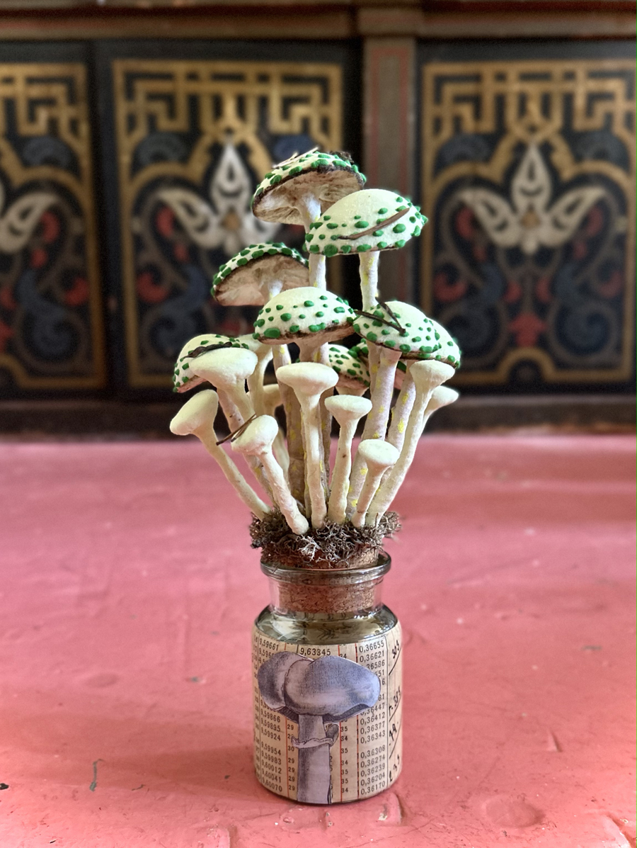 mushrooms