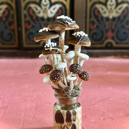 mushrooms