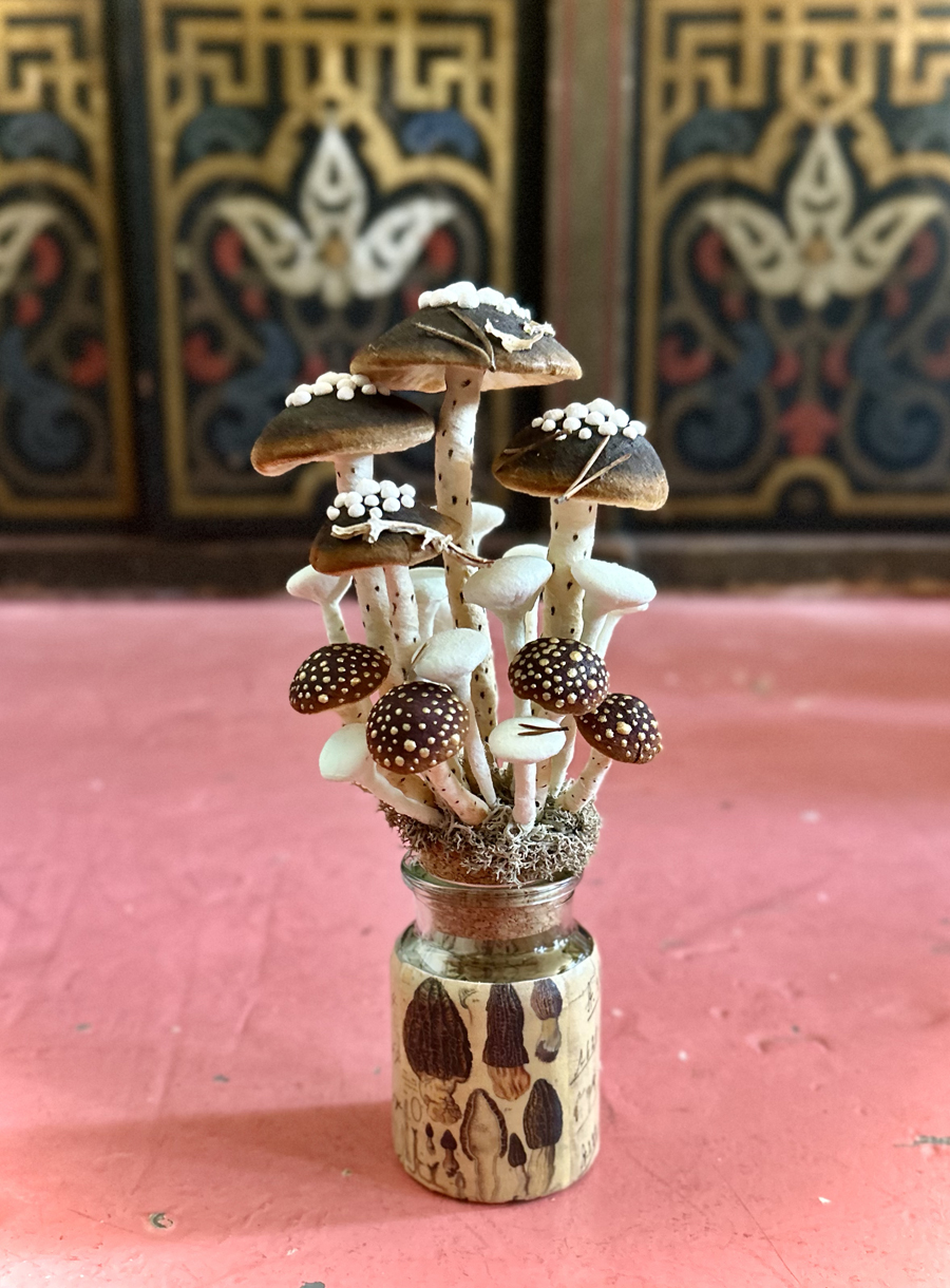 mushrooms