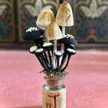 mushrooms