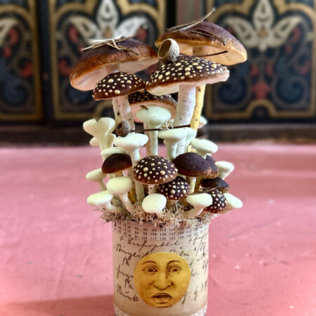 mushrooms