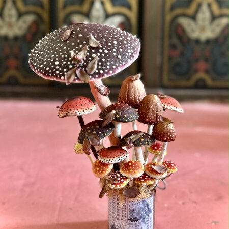 mushrooms