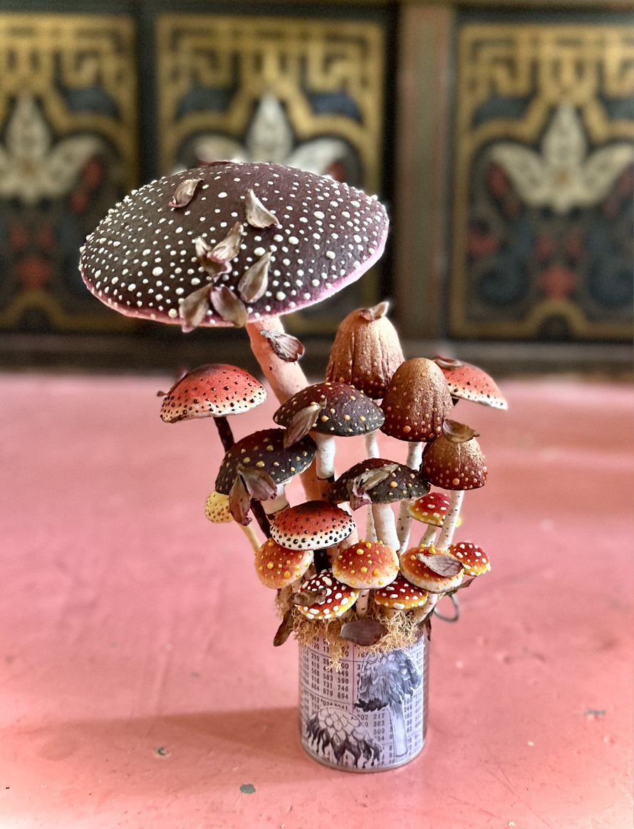 mushrooms