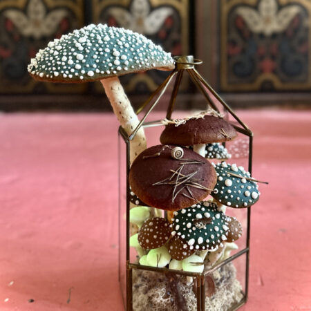 mushrooms