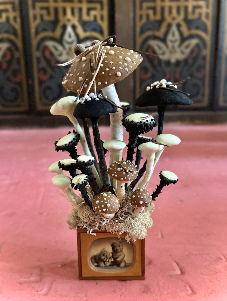 mushrooms
