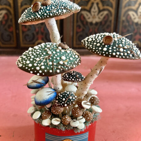mushrooms