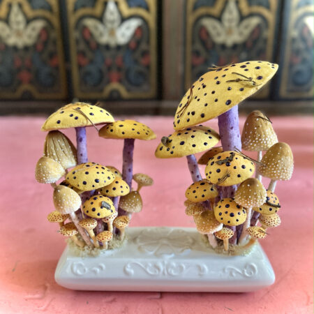 mushrooms