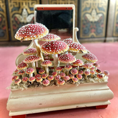 mushrooms
