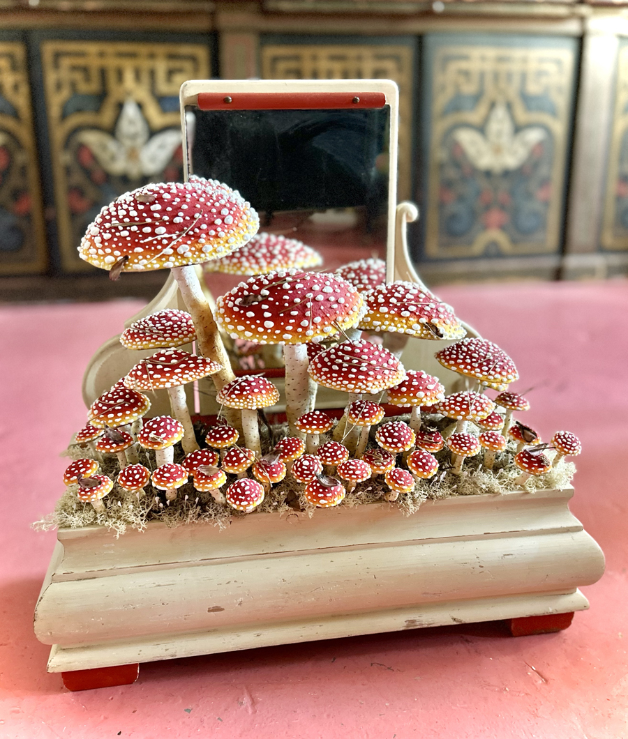 mushrooms