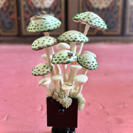 mushrooms