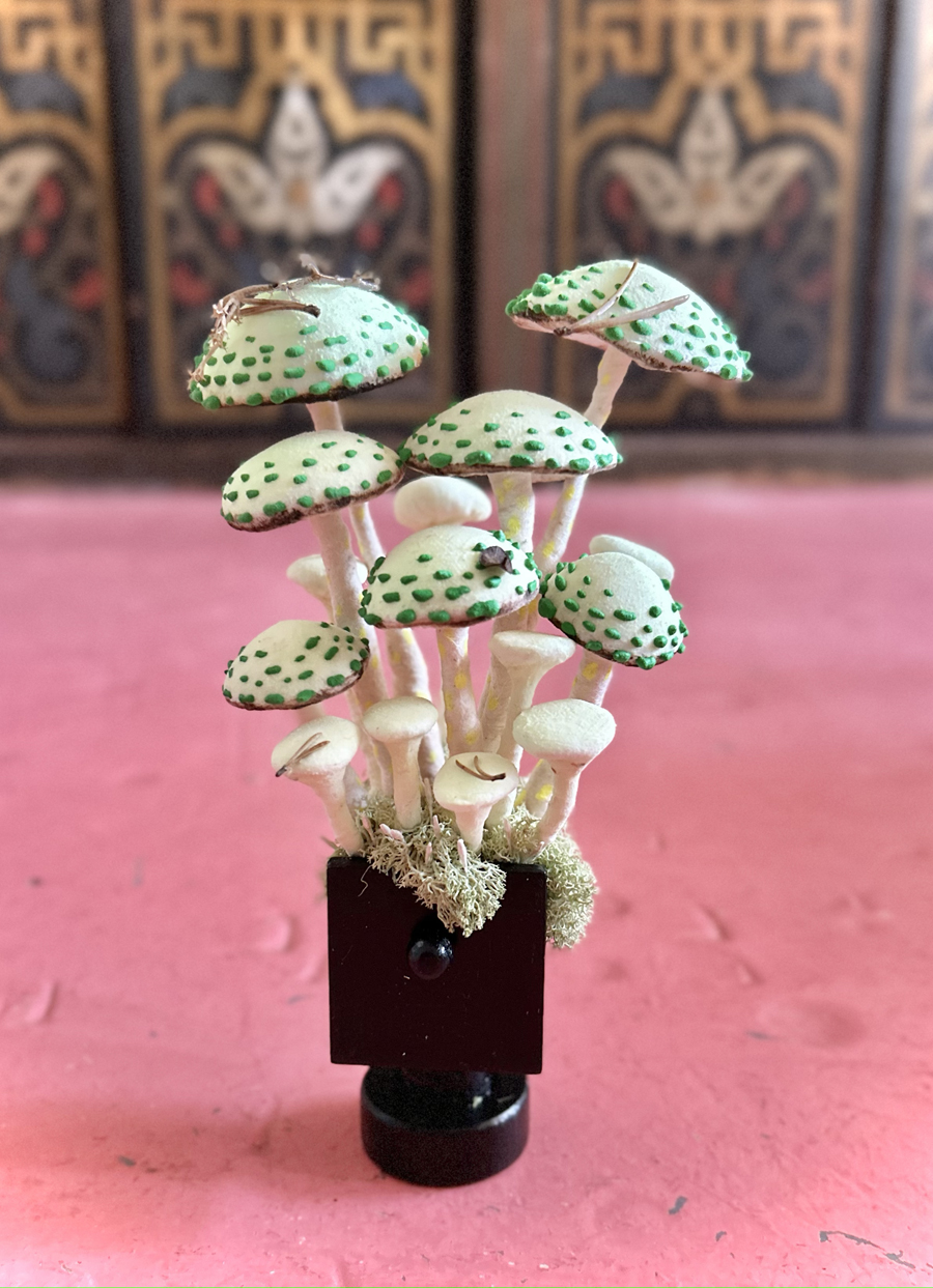 mushrooms
