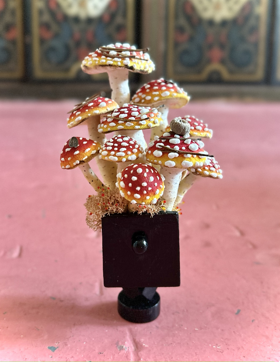 mushrooms
