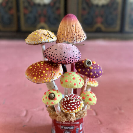 mushrooms
