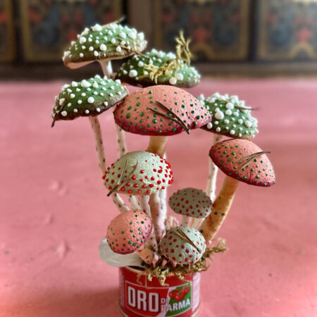 mushrooms