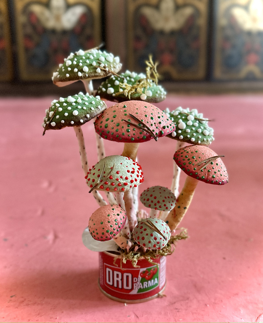 mushrooms