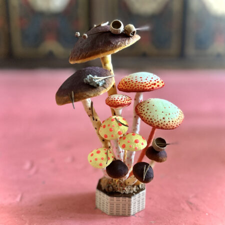 mushrooms
