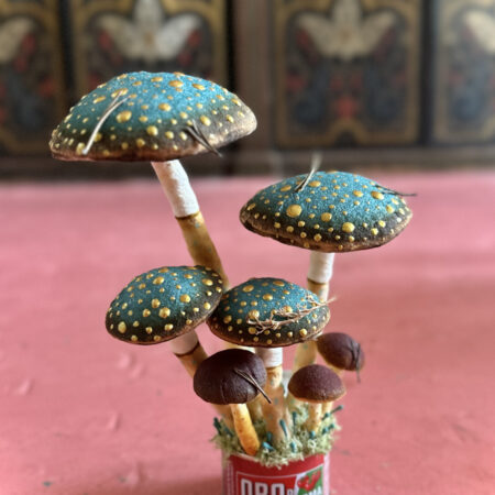 mushromms