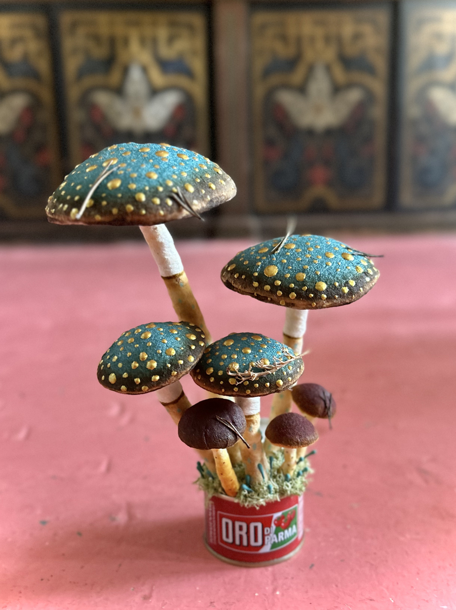 mushromms