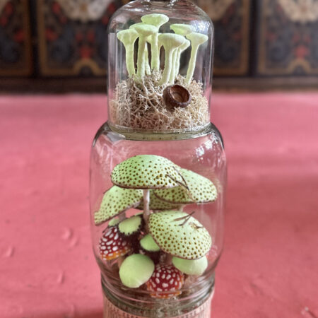 mushrooms