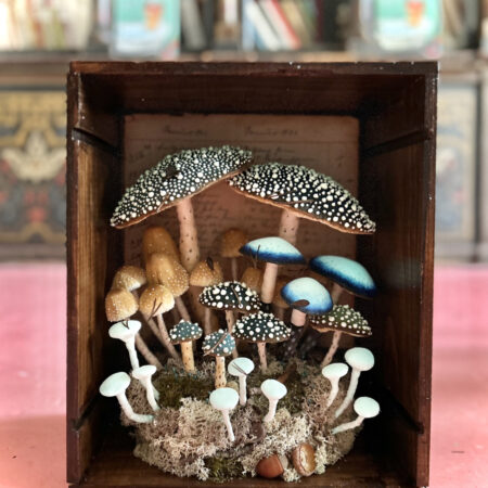 mushrooms