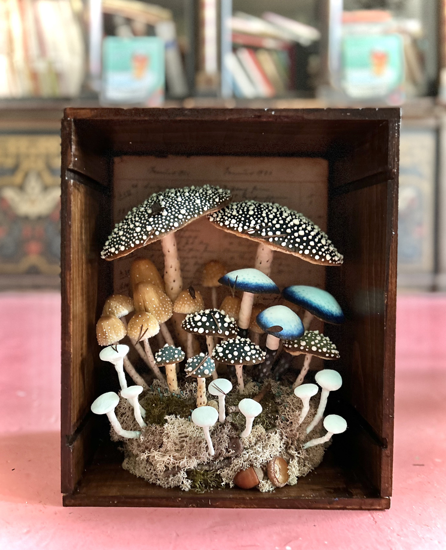 mushrooms