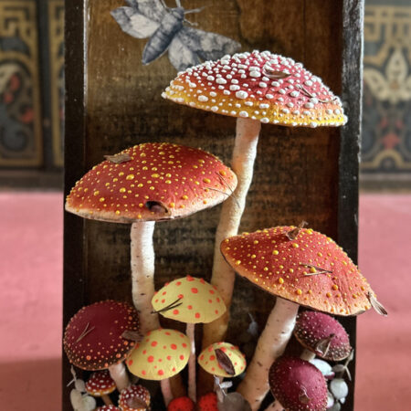 mushrooms