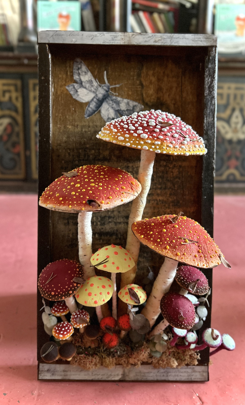 mushrooms