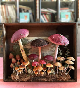 mushrooms
