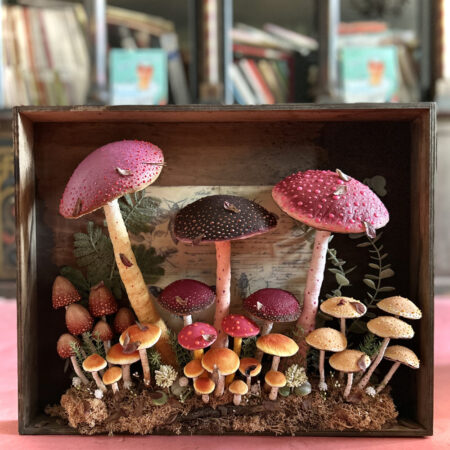 mushrooms