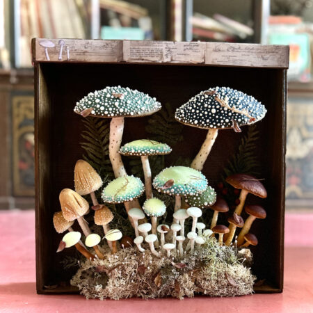 mushrooms