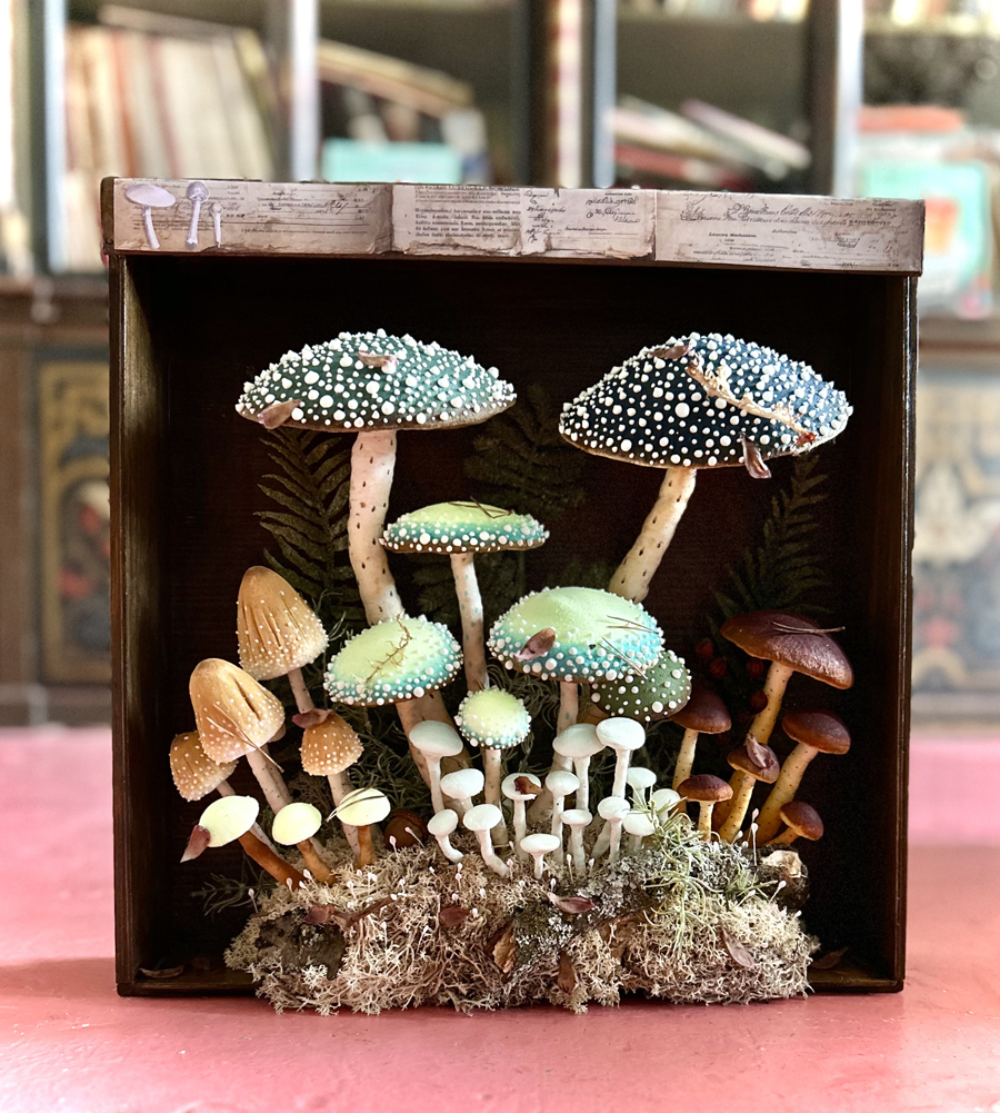 mushrooms