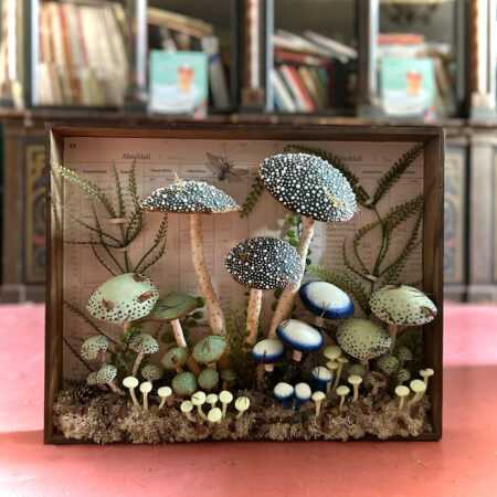 mushrooms