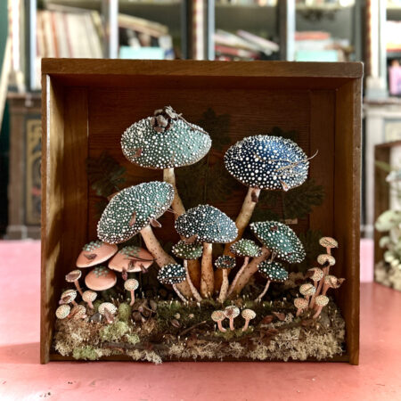 mushrooms