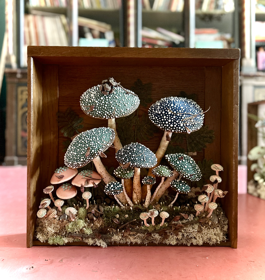 mushrooms