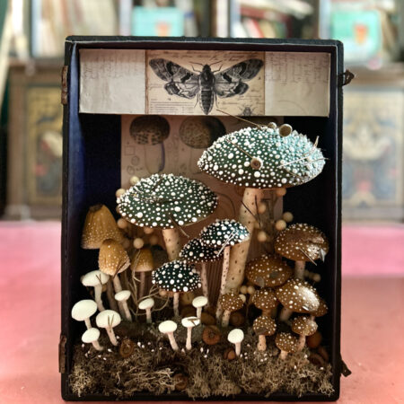 mushrooms