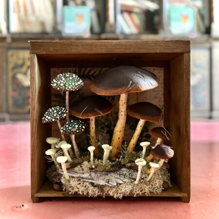 mushrooms