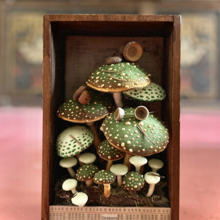 mushrooms