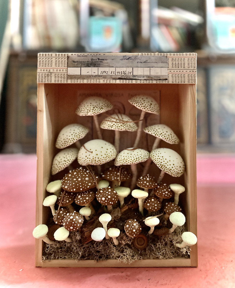 mushrooms