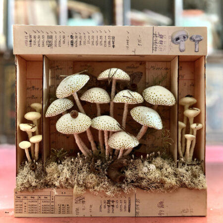 mushrooms