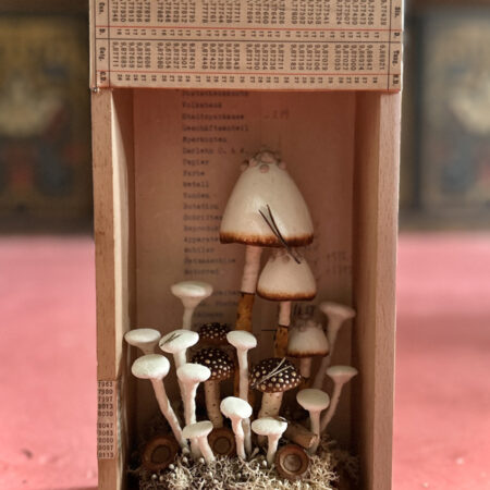 mushrooms
