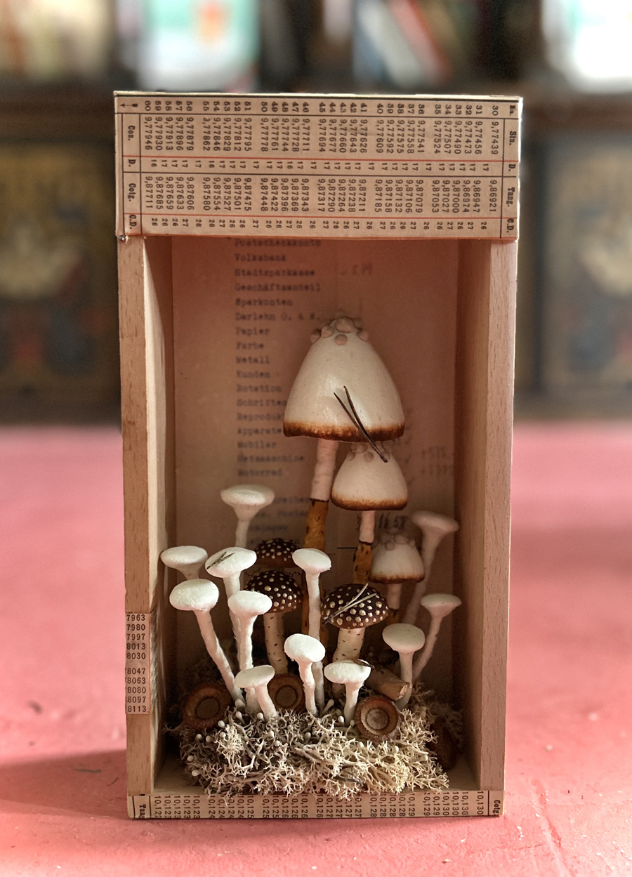 mushrooms