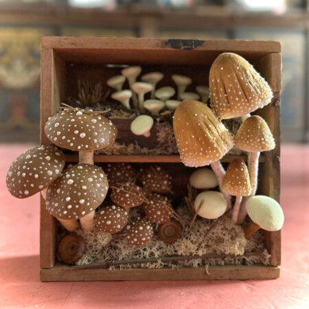 mushrooms