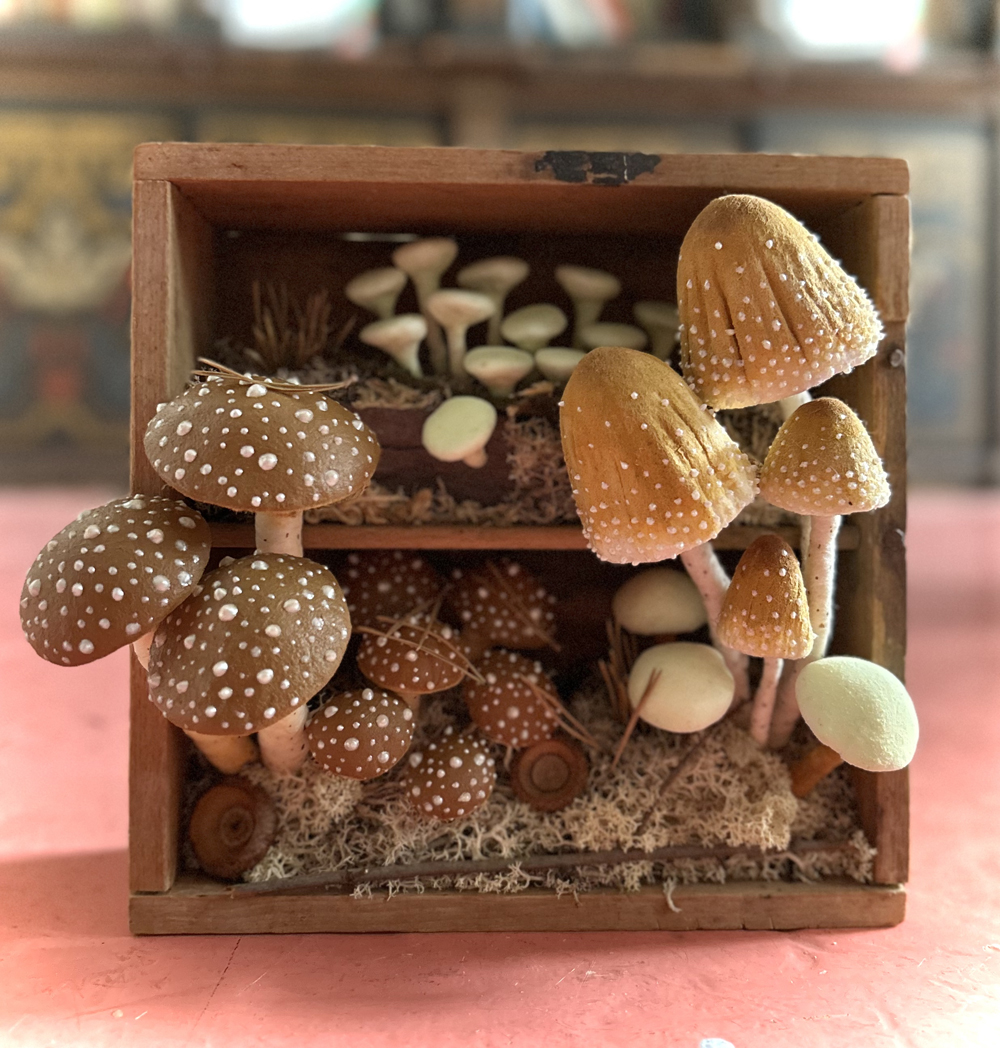 mushrooms